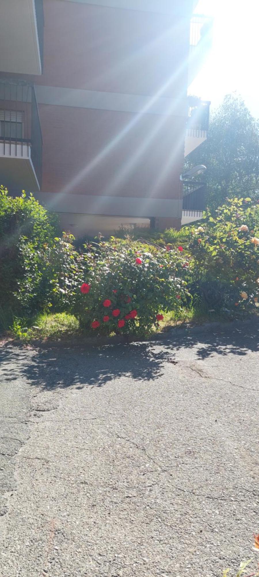 奥斯塔Il Mughetto公寓 外观 照片